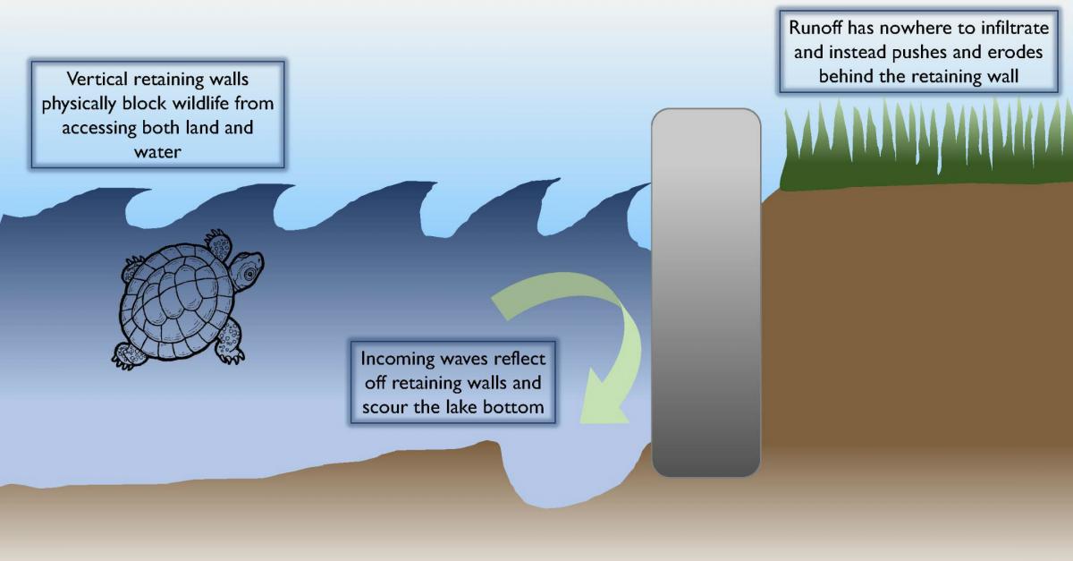 Shoreline Stabilization | Department Of Environmental Conservation